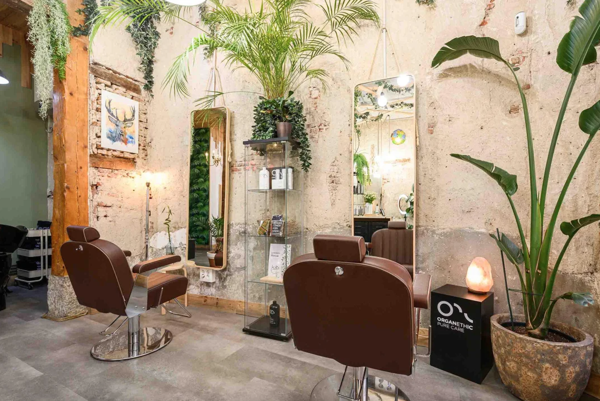 Warme kapsalon met planten, hout en spiegels